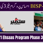 8171 Ehsaas Program Phase 3 Payments