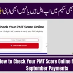 How to Check Your PMT Score Online for BISP 8171 September Payments