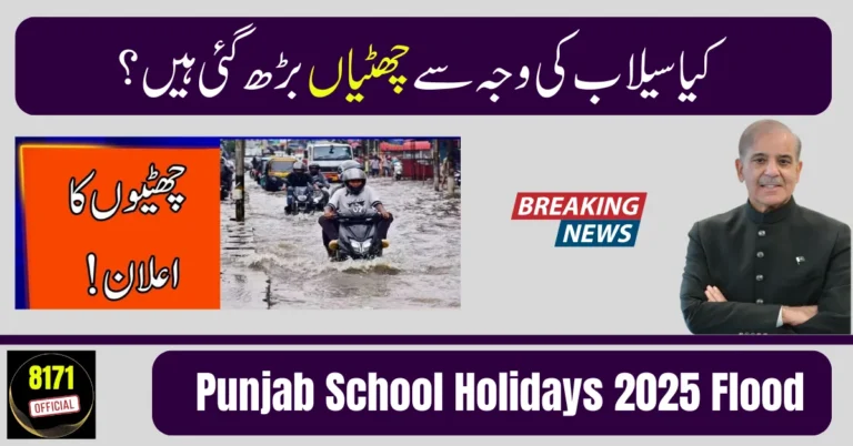 Punjab School Holidays 2025 Flood