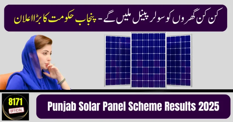 Punjab Solar Panel Scheme Results 2025