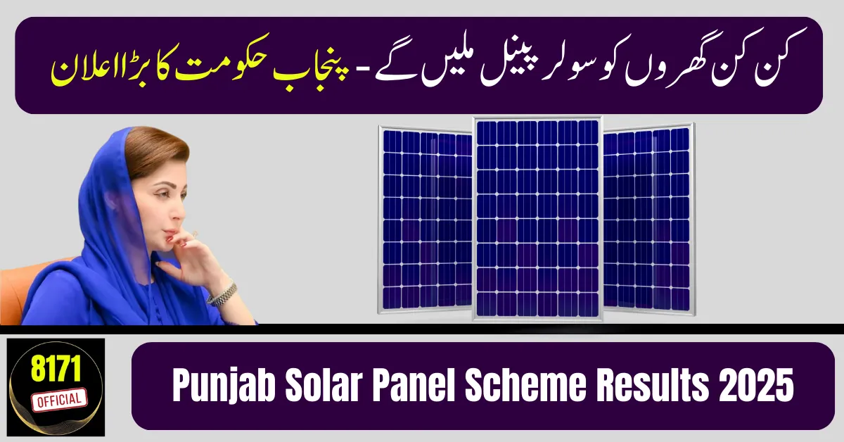 Punjab Solar Panel Scheme Results 2025