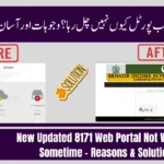 New Updated 8171 Web Portal Not Working Sometime – Reasons & Solution