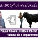 { "@context": "https://schema.org", "@type": "FAQPage", "mainEntity": [ { "@type": "Question", "name": "Who is eligible for the livestock program?", "acceptedAnswer": { "@type": "Answer", "text": "Only widowed women living in Punjab with valid CNIC are eligible." } }, { "@type": "Question", "name": "What type of livestock will be provided?", "acceptedAnswer": { "@type": "Answer", "text": "Beneficiaries may receive goats, cows, or hens depending on quota allocation." } }, { "@type": "Question", "name": "How do I apply for the program?", "acceptedAnswer": { "@type": "Answer", "text": "You can apply online through the Punjab Livestock Department portal or visit the nearest office." } }, { "@type": "Question", "name": "Is there any registration fee?", "acceptedAnswer": { "@type": "Answer", "text": "No, the registration and livestock distribution are completely free." } }, { "@type": "Question", "name": "How will I know if my application is approved?", "acceptedAnswer": { "@type": "Answer", "text": "Applicants will receive SMS confirmation after successful verification." } }, { "@type": "Question", "name": "Can beneficiaries of other schemes also apply?", "acceptedAnswer": { "@type": "Answer", "text": "No, women already receiving benefits under similar livestock programs are not eligible." } } ] }
