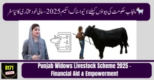 Punjab Widows Livestock Scheme 2025 – Financial Aid & Empowerment