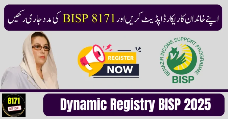 Dynamic Registry BISP 2025