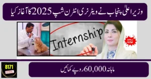 CM Punjab Announced Veterinary Internship Program 2025 – Earn 60,000 Monthly