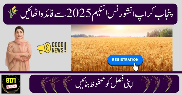 Punjab Crop Insurance Scheme 2025 – Online Apply & Benefits for Farmers