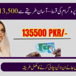 BISP September 2025: Easy Guide to Withdraw Rs. 13,500 Without Facing Issues