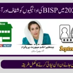 How Tehsil Offices Help Distribute BISP Payments Across Pakistan in 2025