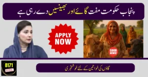 Punjab Launches Livestock Program: Free Cows & Buffaloes for Women in 12 Districts