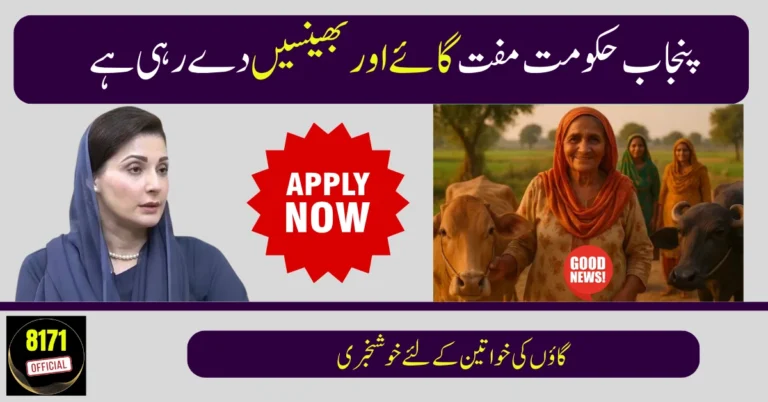 Punjab Launches Livestock Program: Free Cows & Buffaloes for Women in 12 Districts