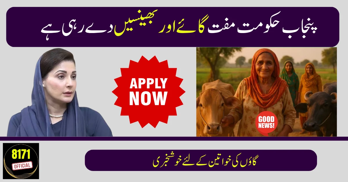 Punjab Launches Livestock Program: Free Cows & Buffaloes for Women in 12 Districts