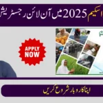 CM Punjab Rozgar Scheme 2025: Easy Online Registration & Loan Guide