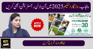 CM Punjab Rozgar Scheme 2025: Easy Online Registration & Loan Guide