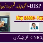 8171 Web Portal: Check Benazir Kafalat Rs 13,500 Latest September Payment Online