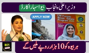 CM Punjab Bewa Sahara Card 2025 – How Widows Can Apply & Get Monthly Aid