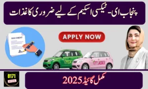 Documents Needed for Punjab E-Taxi Scheme 2025 – Step-by-Step Complete Guide