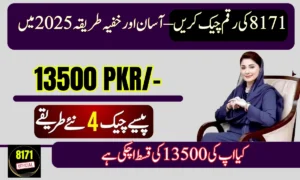 BISP 8171 Payment Discreetly in 2025: Easy Online & SMS Check Guide