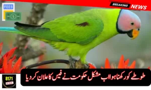 Punjab Makes Parrot Registration Compulsory – Full Fee Details Inside