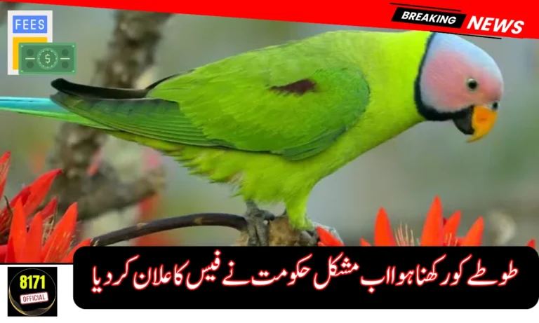 Punjab Makes Parrot Registration Compulsory – Full Fee Details Inside