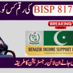 BISP 8171 Payments October 2025 – Who Will Receive This Month’s Support?