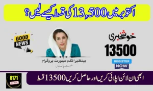 BISP 8171 October Payment Guide – Receive Rs. 13,500 Installment This Week