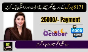 8171 Tracking Portal October 2025: Check Your CNIC Status Online Today