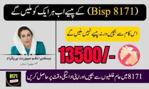 8171 October Verification – Avoid These Common Mistakes