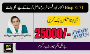 8171 October Payment Start – When Will You Receive the Money?